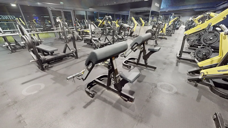 Biceps Curl - Fitness Park Montpellier Vendargues